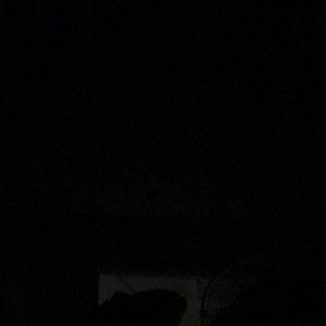 Meet your Posher, Hildee